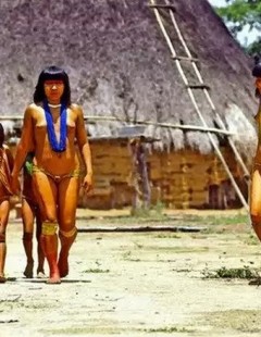 У племен туземцев принято ходить голыми